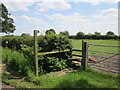 Footpath stile near Dunham-on-the-Hill in Dunham-on-the-Hill