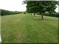 Tree lined gallops at Coombelands in RH20 1AG