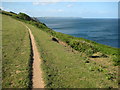 Coast path between Hallsands and Beesands in TQ7 2EW
