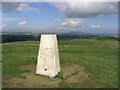 The trig point at 276m on Minto Hill South in TD9 8SG
