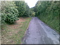Road north of Penwartha Green in TR6 0JA