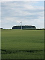 Wind turbine at Lynn in TF10 9DX