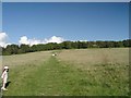 Path from car park at Cissbury Ring in BN14 0EB