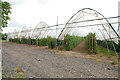Polytunnels, B5014 Lichfield Road in WS15 4DU