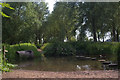 Ford and stepping stones over the River Ver, Hertfordshire in AL2 3FP