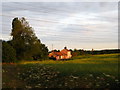 Pink cottage in the evening sun in Burgh