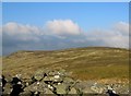 Newton Tors in Kirknewton