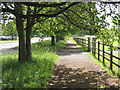 Shady walk north of the playing fields in DL2 1HJ