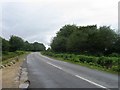 Road to Fritham, New Forest in SO43 7JG