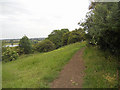 Footpath on Cleeve Hill in WR11 8JY