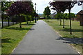 Path between Muchelney Way and Flax Way in BA21 3LR