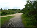 Canford Heath, path junction in BH17 9HT