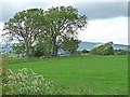 Field near Warton in Snitter