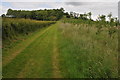 Farmland near Bradley Green in B96 6RW