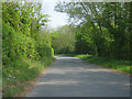 Lane near Shalford Bridge in RG7 4SP