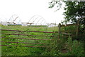 Stile and Pollytunnels in ST18 9PA