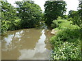 River Rother eastbound from Ambersham Bridge in GU29 0AZ