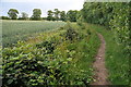 Bridleway beside Coughton Park in B49 5JL