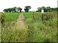 Public footpath from Filby to Mautby in NR29 3EB