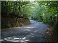 Road crossing wooded valley in EX20 4EA