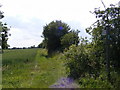 Footpath to Mutton Lane in IP13 7LJ