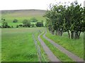 Farm track on the east flank of Mynydd Troed in LD3 0ER