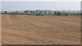 A cultivated field, Pretty Oak in TA20 3DQ
