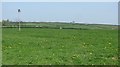Grass field above Combe St Nicholas in TA20 3PU