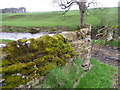 Wall near Langley Beck in DL12 8RU
