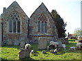 Sheep in churchyard of St Thomas a Becket's, Brightling in Brightling