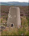 Heather moorland with trig point on Hill of Towanreef in AB54 4LQ