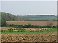 Cultivated land, Knott Oak in TA19 0JA
