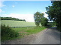 Field access by Ham Copse in RG25 2QG