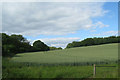 Wheat field by Ham Copse in RG25 2QG