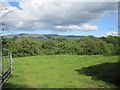 Pasture above Trefecca and the Afon Llynfi in LD3 0PP