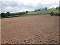 Ploughed field west of Trefecca in LD3 0PU