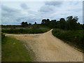 Corfe Hills, footpath junction in BH21 3DB