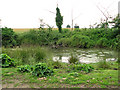 Pond at Falgate Farm, Burgh St Margaret in NR29 3AG