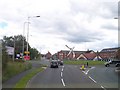 Artwork on the roundabout on Wigan Road in M46 0TZ