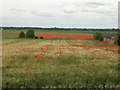 Farmland off Heck and Pollington Lane in DN14 0DS