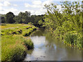 River Derwent, Derwenthaugh Park in NE21 6SD
