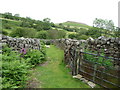 Sheepfold below Crug Hywel in Crickhowell Community