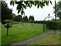 Late June 2011- St Andrew's churchyard (a) in SO51 0NE