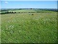 Looking towards Brightwell Barrow from Castle Hill in OX10 0QX