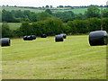 Big bales near Homington in SP5 4NN