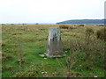 Craig Rhiw Ddu trig in CF44 7PT