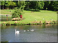 Lake at Callendar House Falkirk in FK2 9QB