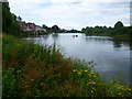 The River Thames from Radnor Gardens in TW1 4SR