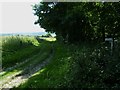 Bridleway junction near The Burgh and downland view in BN18 9RN