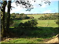 Fields near West Moor in EX21 5BB